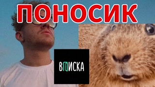 Прев'ю для В РЕЛИЗ ВЫШЕЛ КОЛЛАБ ОТ ПОНОСИКА АХУЕТЬ